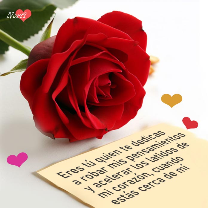 Rosa roja con corazones y una nota de amor