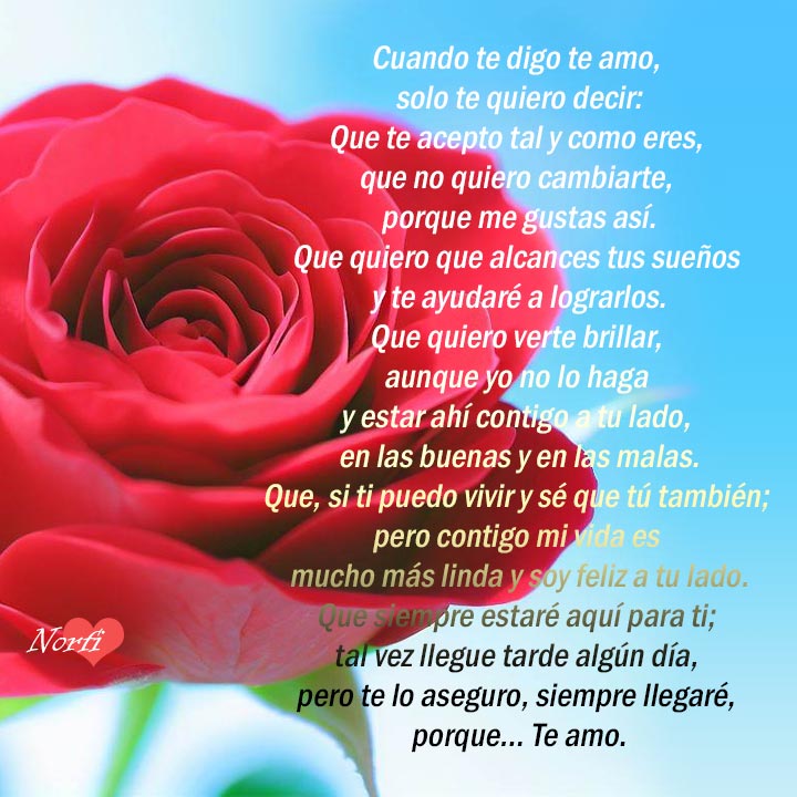 Rosa con poema te amo