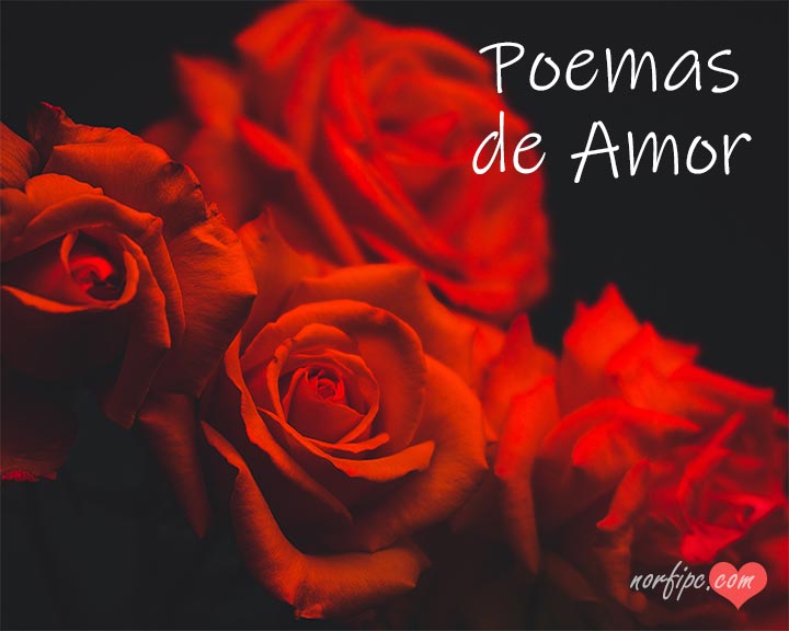 Poemas y versos de amor románticos y apasionados, para leer, compartir y dedicar