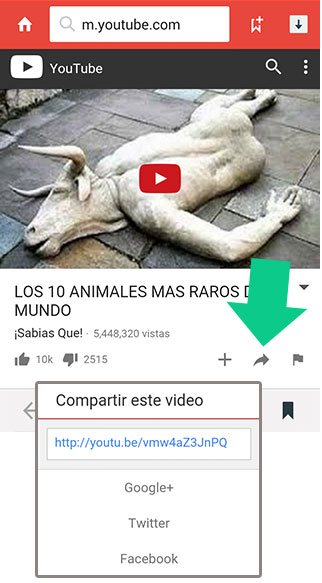 Compartir video en YouTube