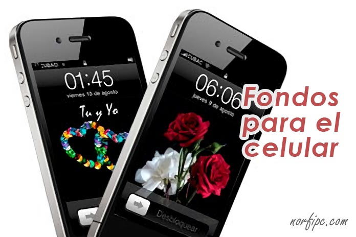 Imágenes y fondos de pantalla de amor para usar en teléfonos celulares y móviles