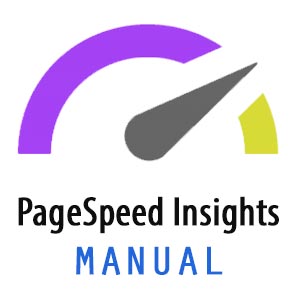 Manual para usar la herramienta PageSpeed Insights de Google